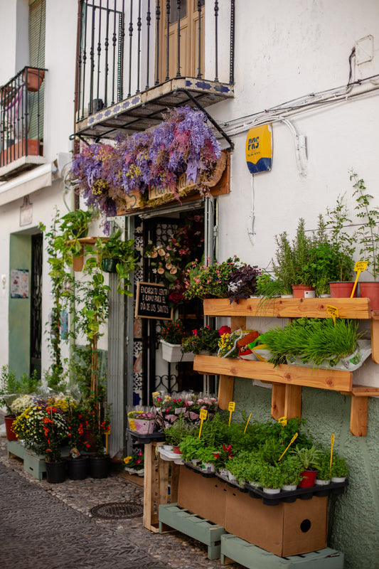 flower shop, Granada