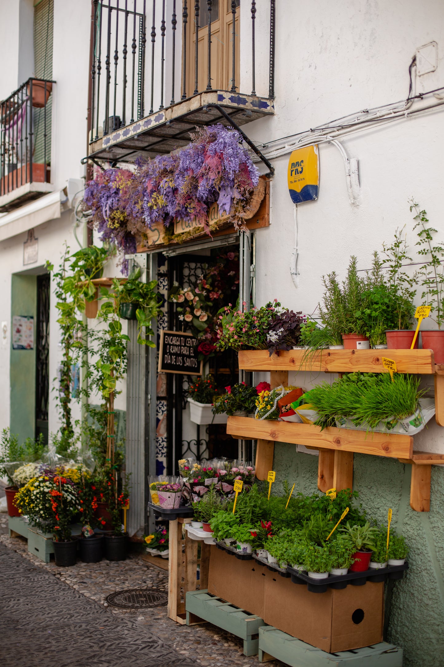 flower shop, Granada